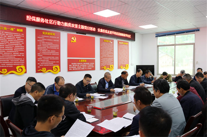 財信擔保公司“擔保服務社區(qū)行”助力脫貧攻堅主題黨日活動走進平利老縣鎮(zhèn)蔣家坪村