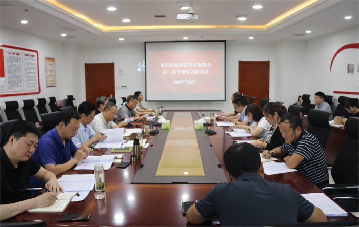 市發(fā)投集團(tuán)黨委召開以案促改專題 學(xué)習(xí)研討會(huì)