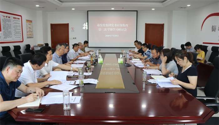 市發(fā)投集團(tuán)黨委召開以案促改第三次第四次專題學(xué)習(xí)研討會(huì)