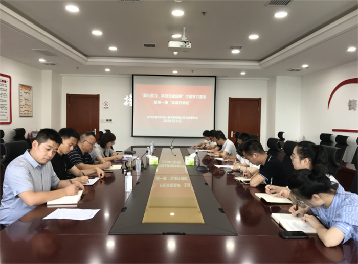 市財信小貸黨支部開展“凝心聚力共創(chuàng)黨建品牌”主題黨日暨第一期“黨課開講啦”活動