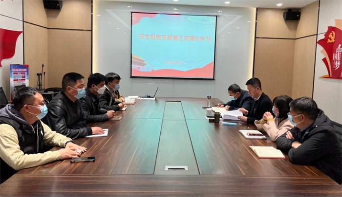安文投公司黨支部組織學(xué)習(xí)貫徹全國兩會(huì)精神